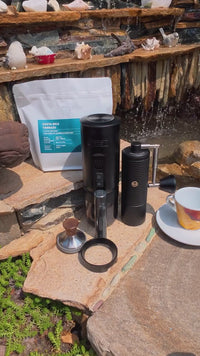 El Salvador Geisha